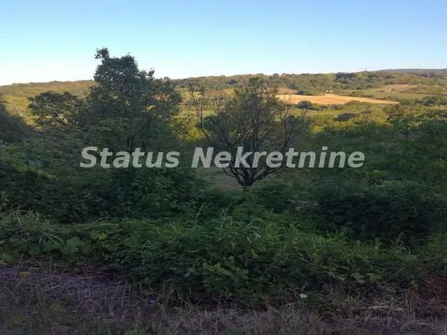 Prodaja, plac, 2500m², Sremska Kamenica, Petrovaradin