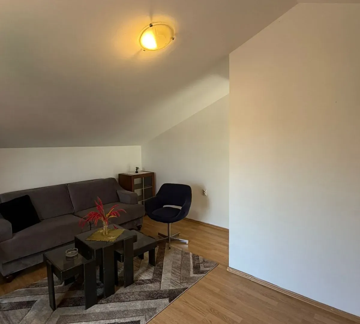 Rent, house, 100m², Zeta, Podgorica