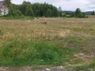 Sale, land lot, 591m², Tepačko polje, Žabljak - image 5