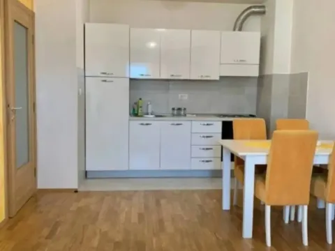 Izdavanje, jednosoban stan, 45m², Stari Aerodrom, Podgorica - image 2