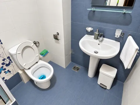 Kupatilo opremljeno umivaonikom, WC šoljom i plavim zidnim pločicama. - image 7