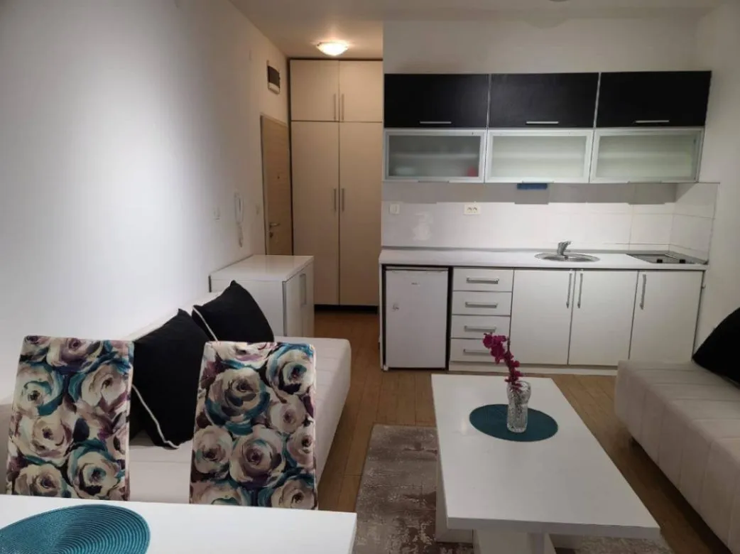 Izdavanje, garsonjera, 30m², Rafailovići, Budva
