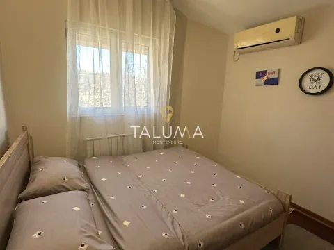 Rent, house, 200m², Donja Gorica, Podgorica - image 11