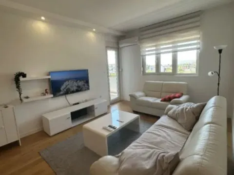 Izdavanje, jednosoban stan, 49m², Central Point, Podgorica - image 1