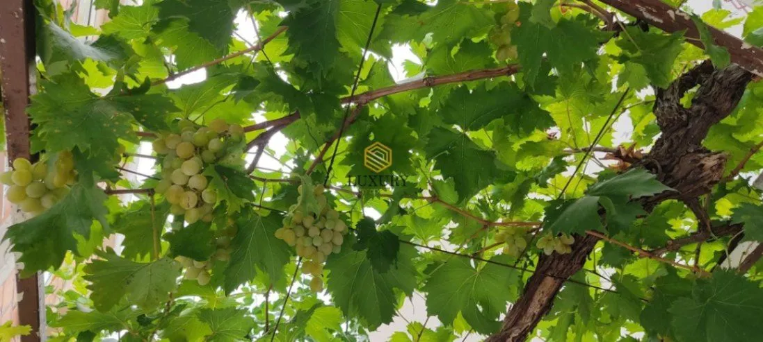 Prodaja, stan, 36m², Herceg Novi, Crna Gora