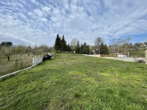 Prodaja, plac, 1000m², Sremska Kamenica, Petrovaradin - image 6