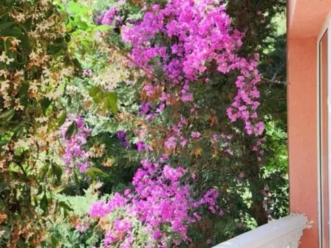 Sale, house, 196m², Bar, Crna Gora - image 12