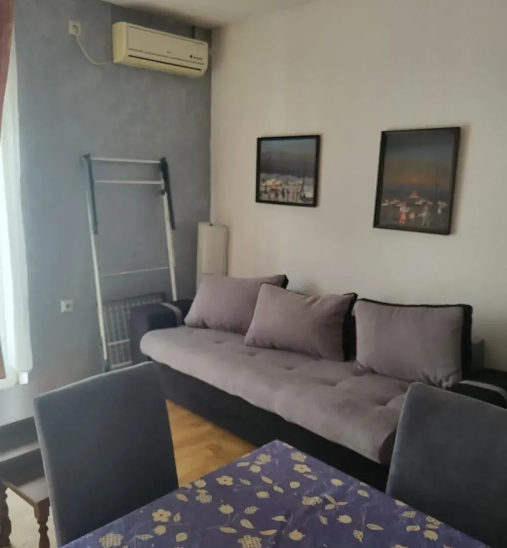 Izdavanje, stan, 24m², Krnjaca, Palilula Sve Podlokacije