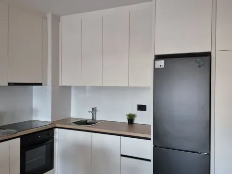 Izdavanje, dvosoban stan, 51m², Hala Pionir, Palilula Sve Podlokacije - image 6