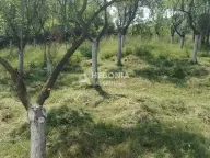 Sale, house, 70m², Obrenovac, Beograd - image 11