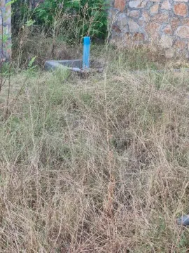 Zaraslo dvorište sa kamenim zidom i instalacijama. - image 7
