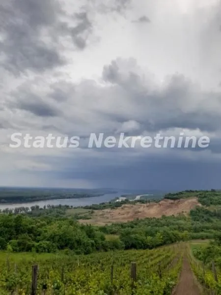 Prodaja, plac, 4100m², Sremski Karlovci, Novi Sad