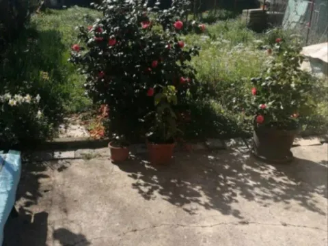 Sale, house, 162m², Zabjelo, Podgorica - image 6