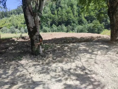 Prodaja, plac, 1660m², Kolašin, Crna Gora - image 2