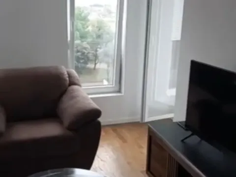 Rent, one bedroom apartment, 43m², Zabjelo, Podgorica - image 6