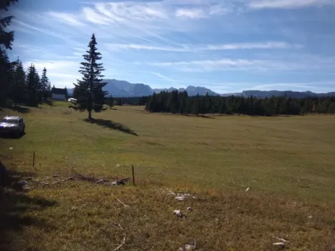 Sale, land lot, 17803m², Podgora, Žabljak - image 10