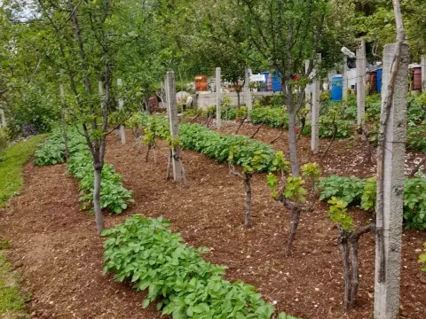 Prodaja, plac, 700m², Herceg Novi, Crna Gora - image 10