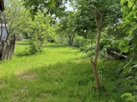 Prodaja, kuća, 469m², Futog, Novi Sad Sve Podlokacije - image 4