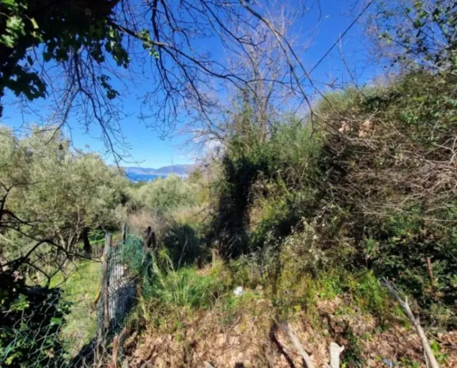 Prodaja, plac, 2600m², Kavač, Kotor