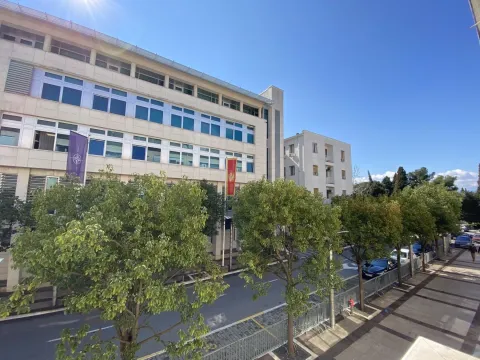 Elevated view of a building and a tree-lined street. - image 5