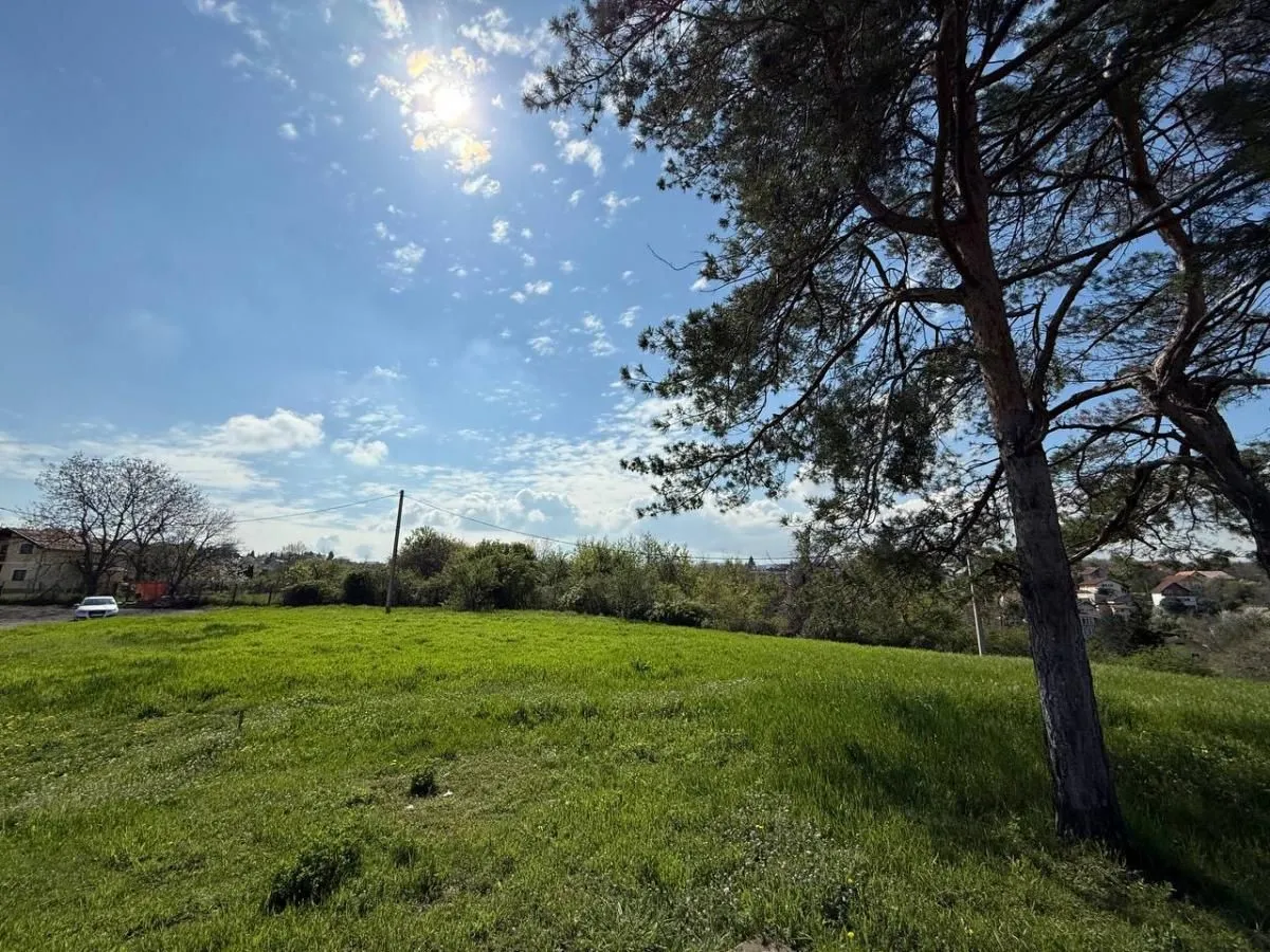 Prodaja, plac, 6157m², Petrovaradin, Novi Sad