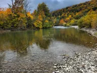 Prodaja, plac, 9814m², Kolašin, Crna Gora - image 9