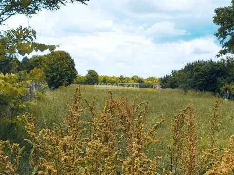 Sale, land lot, 6500m², Stari Tamiš, Pančevo - image 4