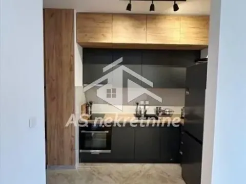 Izdavanje, dvosoban stan, 55m², Južni Bulevar, Vračar Sve Podlokacije - image 9