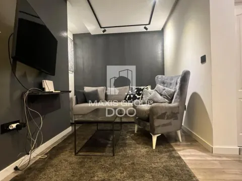 Izdavanje, dvosoban stan, 55m², Voždovac Sve Podlokacije, Beograd - image 14