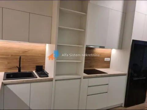 Rent, three bedroom apartment, 360m², Savski Venac, Beograd - image 7