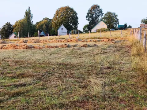 Prodaja, plac, 450m², Centar, Žabljak - image 5