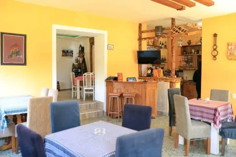 Izdavanje, ugostiteljski objekat, 100m², Beška, Inđija - image 4