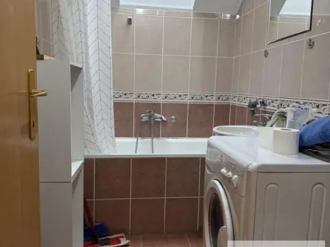 Izdavanje, jednosoban stan, 30m², Obrenovac, Beograd - image 11