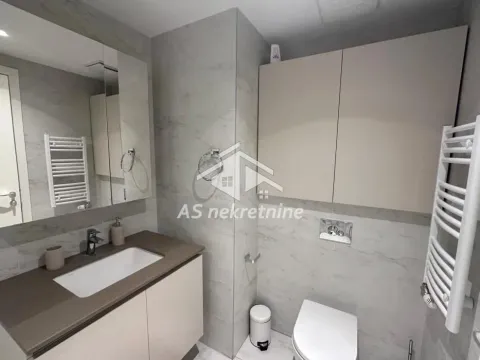 Izdavanje, dvosoban stan, 55m², Savski Venac, Beograd - image 11
