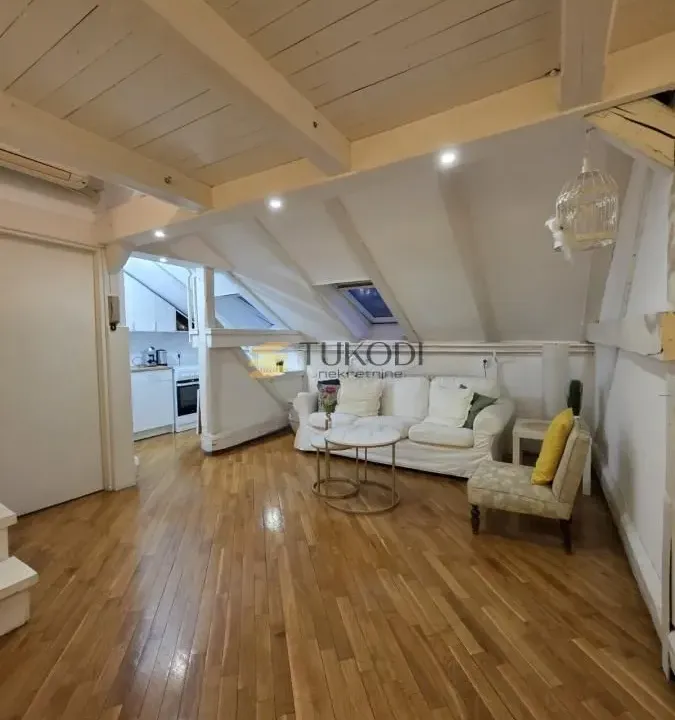 Izdavanje, jednosoban stan, 45m², Botanička Bašta, Palilula Sve Podlokacije