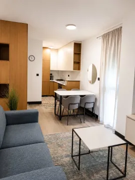 Rent, one bedroom apartment, 43m², Vezirov Most, Podgorica - image 4