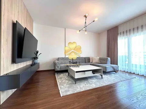 Two Bedroom Apartment for Rent, 80m2, Master Kvart, Podgorica