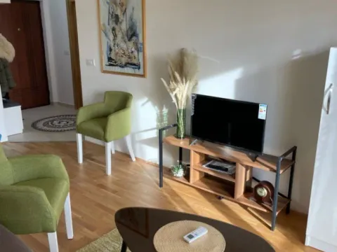 Izdavanje, jednosoban stan, 40m², Stari Aerodrom, Podgorica - image 3