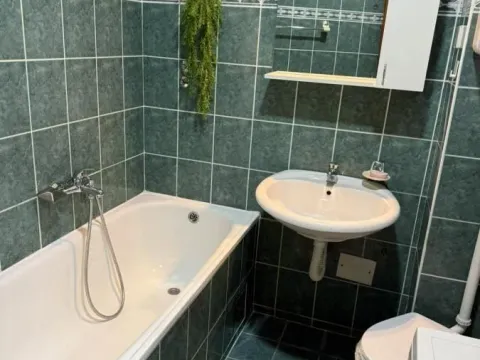 Izdavanje, dvosoban stan, 42m², Salajka, Novi Sad Sve Podlokacije - image 14