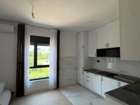 Rent, one bedroom apartment, 53m², Krivi Most, Podgorica - image 4