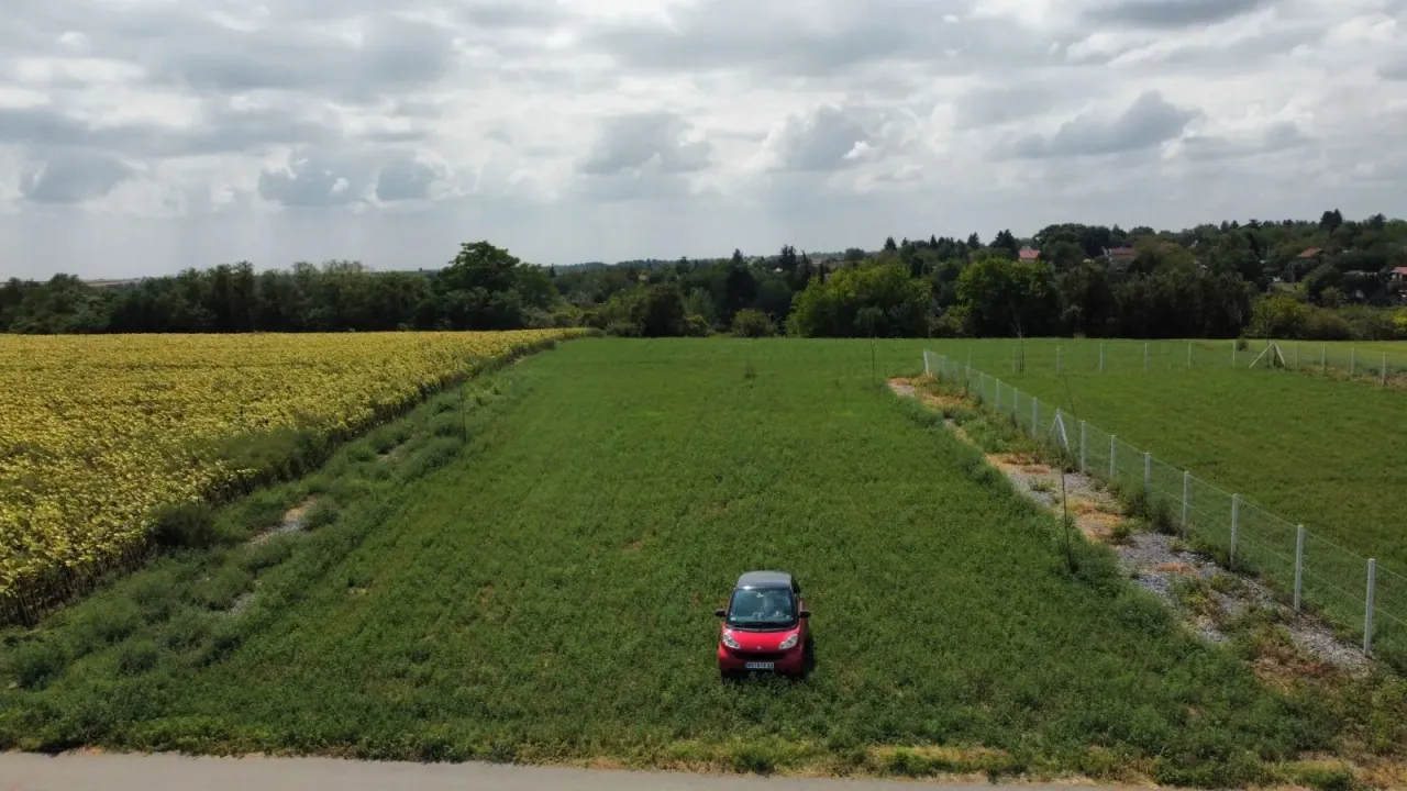 Sale, land lot, 1000m², Čortanovci, Inđija
