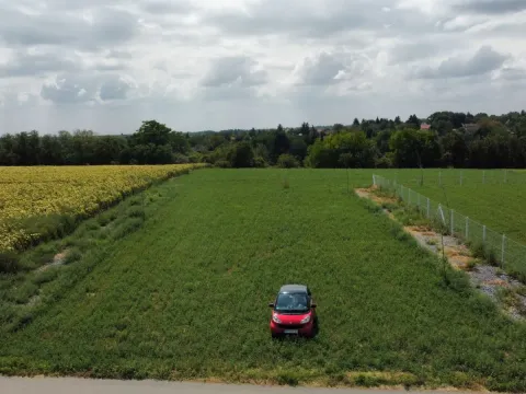 Prodaja, plac, 1000m², Čortanovci, Inđija - image 1