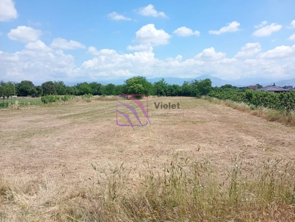 Sale, land lot, 1850m², Farmaci, Podgorica