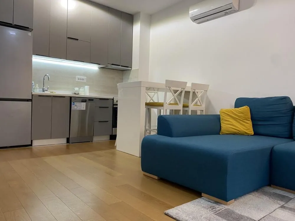 Living room with kitchen and dining area.
