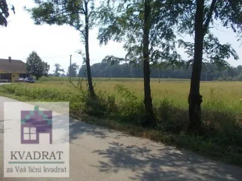 Prodaja, plac, 138m², Ub, Srbija - image 5