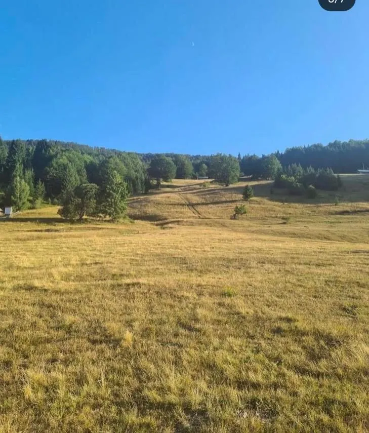 Prodaja, plac, 10000m², Berane, Crna Gora