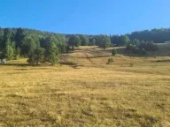 Sale, land lot, 10000m², Berane, Crna Gora - image 4