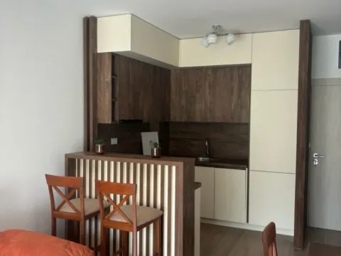 Izdavanje, jednosoban stan, 50m², Budva, Crna Gora - image 6