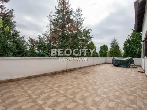 Izdavanje, kuća, 300m², Dedinje Sve Podlokacije, Beograd - image 9