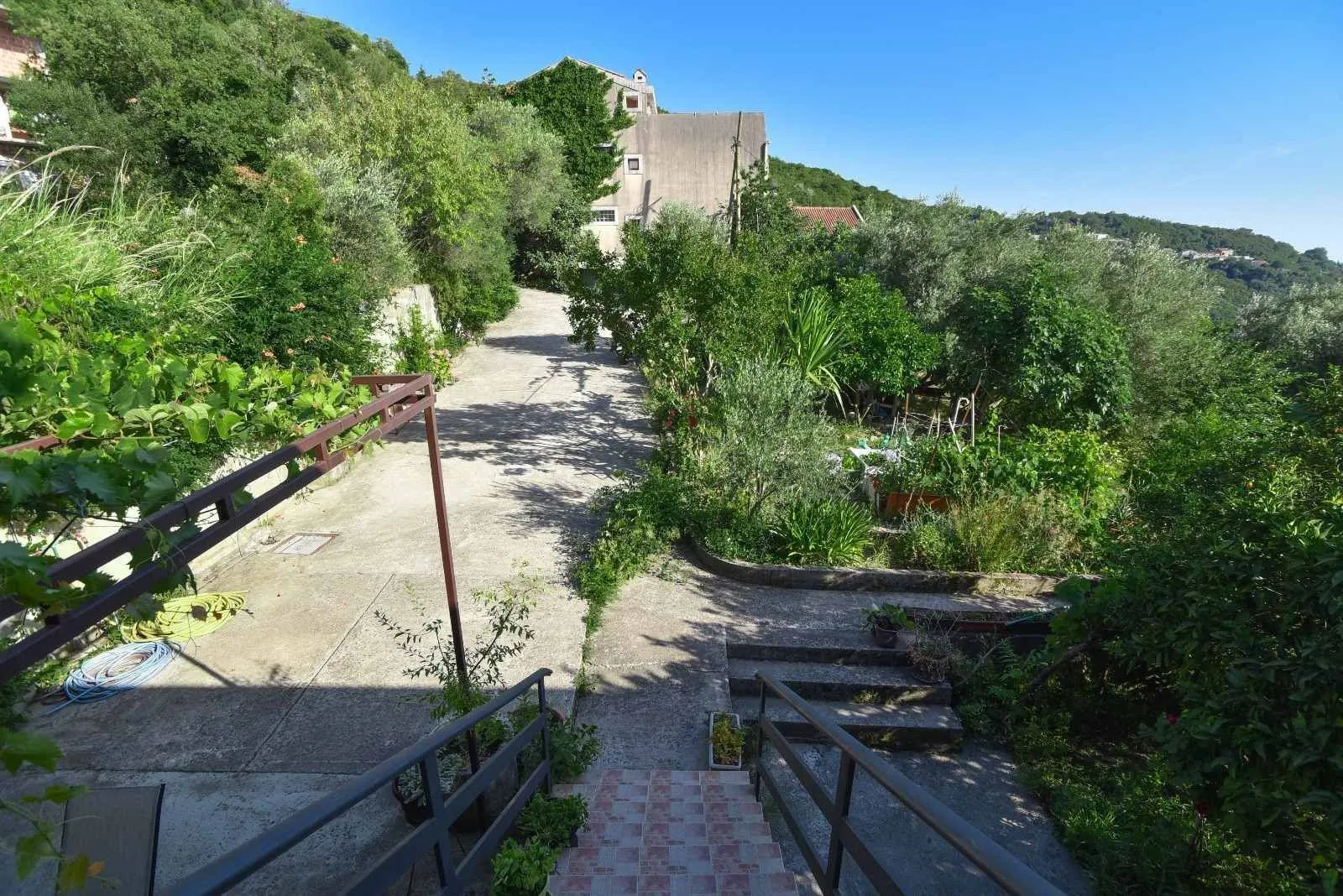 View of the courtyard and driveway surrounded by greenery.